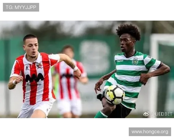 ued体育官网注册流程详解，新手玩家快速入门指南