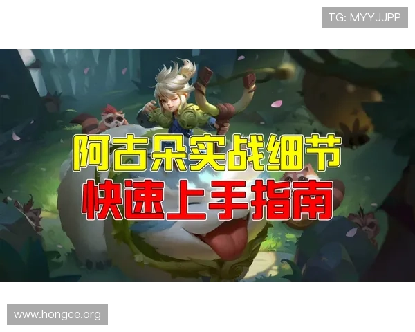 半岛网站详细游戏攻略指南助你快速提升游戏水平
