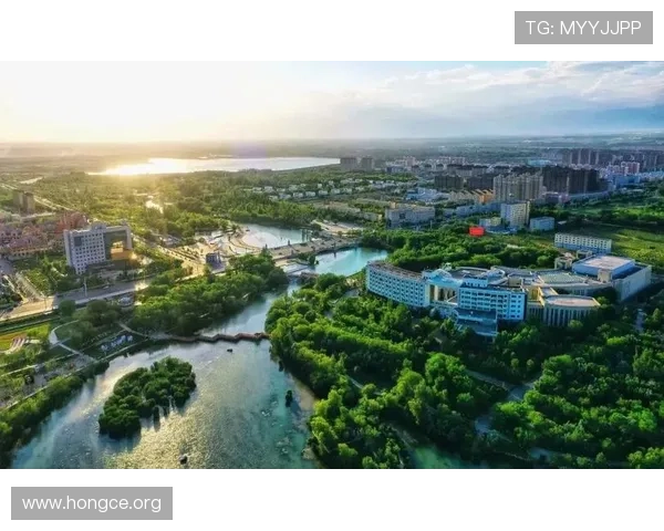 博乐体育未来的发展规划与创新方向，为体育迷带来更多惊喜